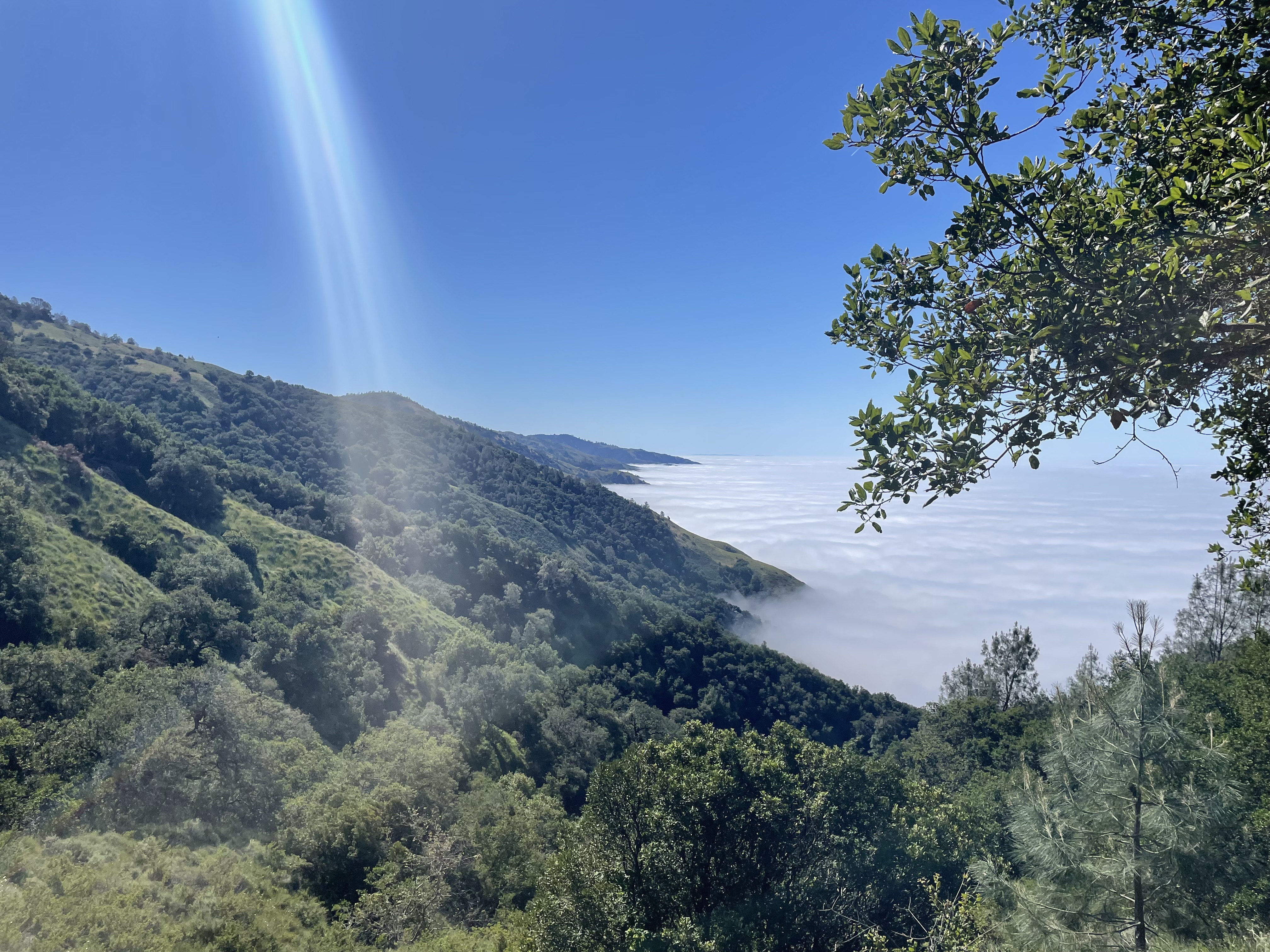 Big Sur coastline